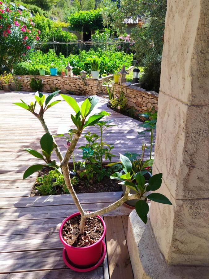 Le Frangipanier Ξενοδοχείο Le Barroux Εξωτερικό φωτογραφία