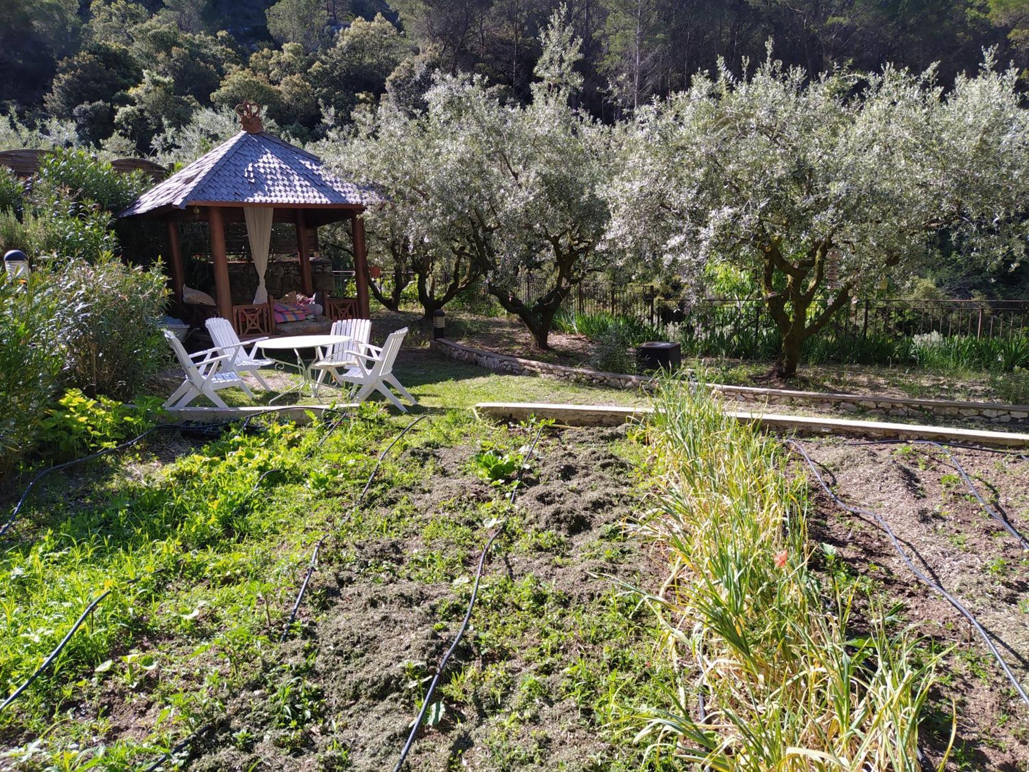 Le Frangipanier Ξενοδοχείο Le Barroux Δωμάτιο φωτογραφία