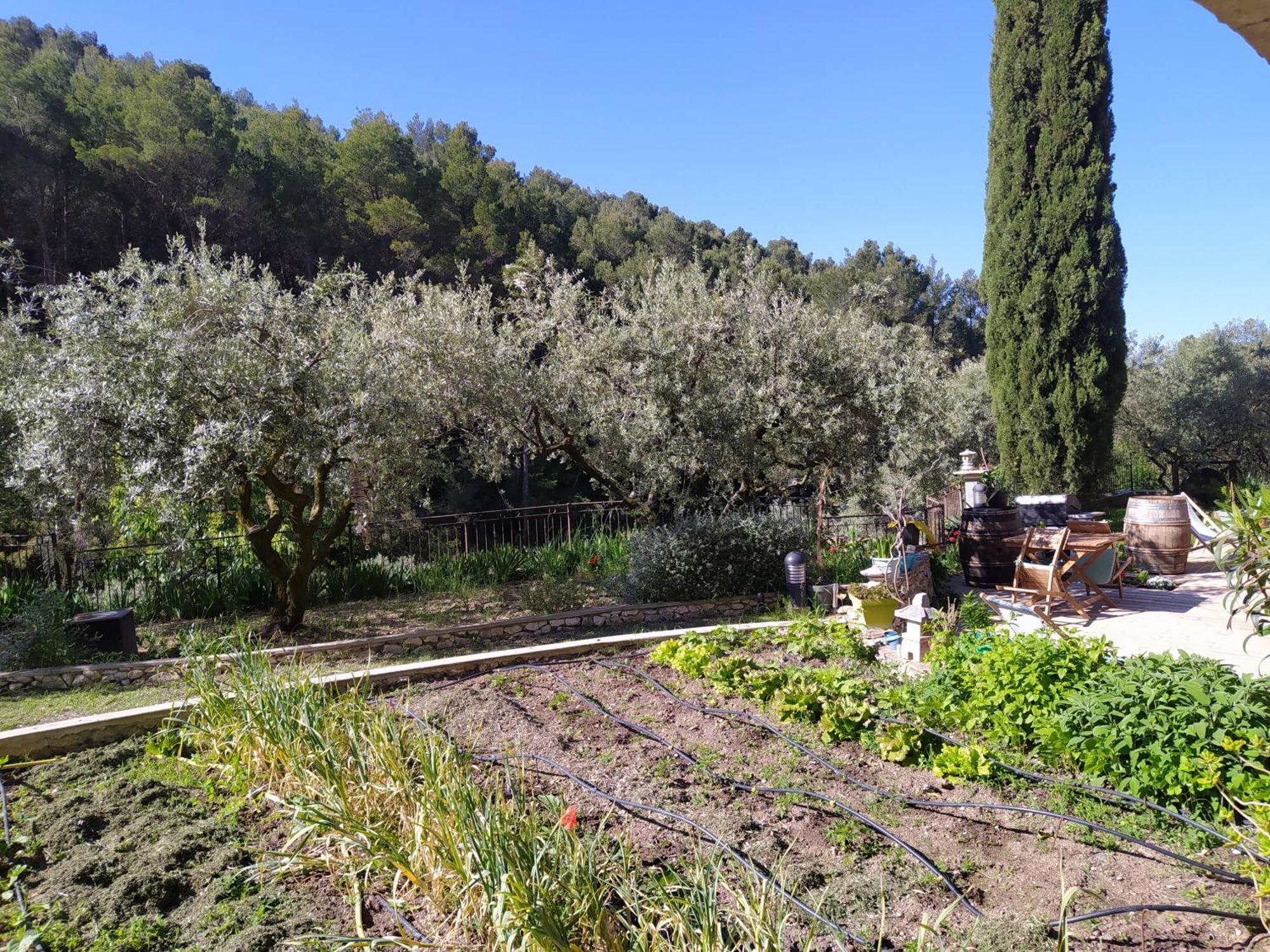 Le Frangipanier Ξενοδοχείο Le Barroux Δωμάτιο φωτογραφία