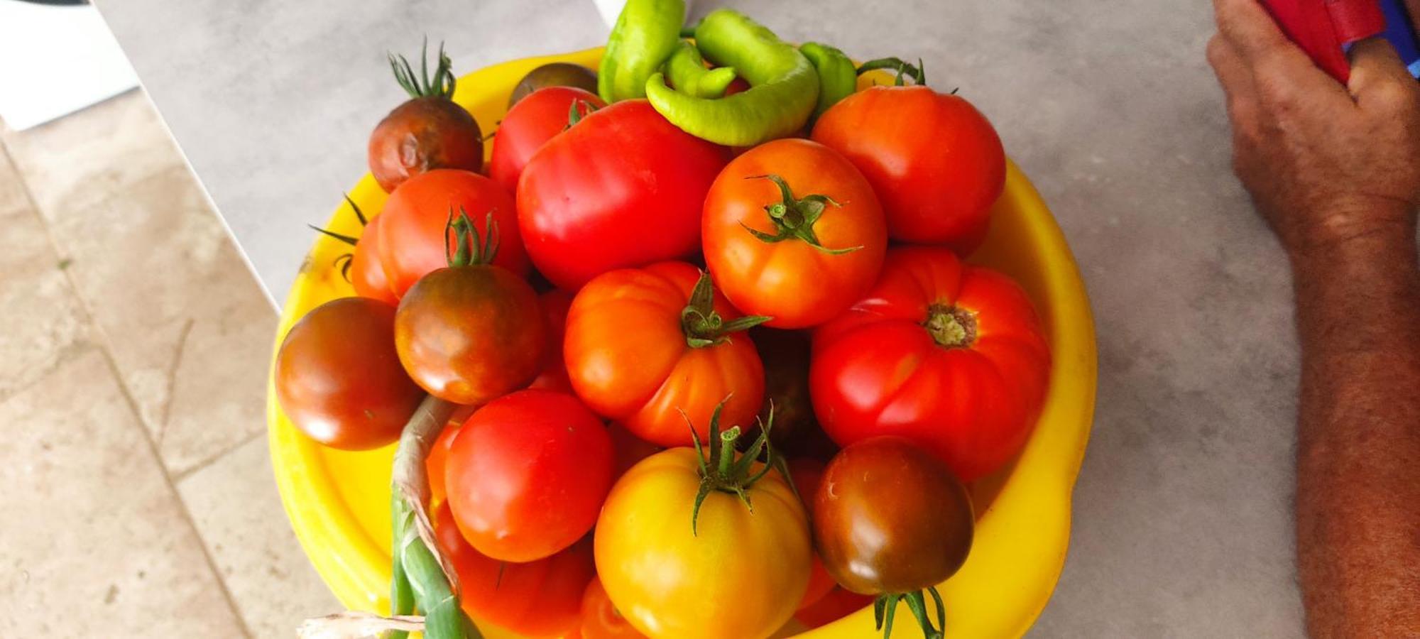 Le Frangipanier Ξενοδοχείο Le Barroux Εξωτερικό φωτογραφία
